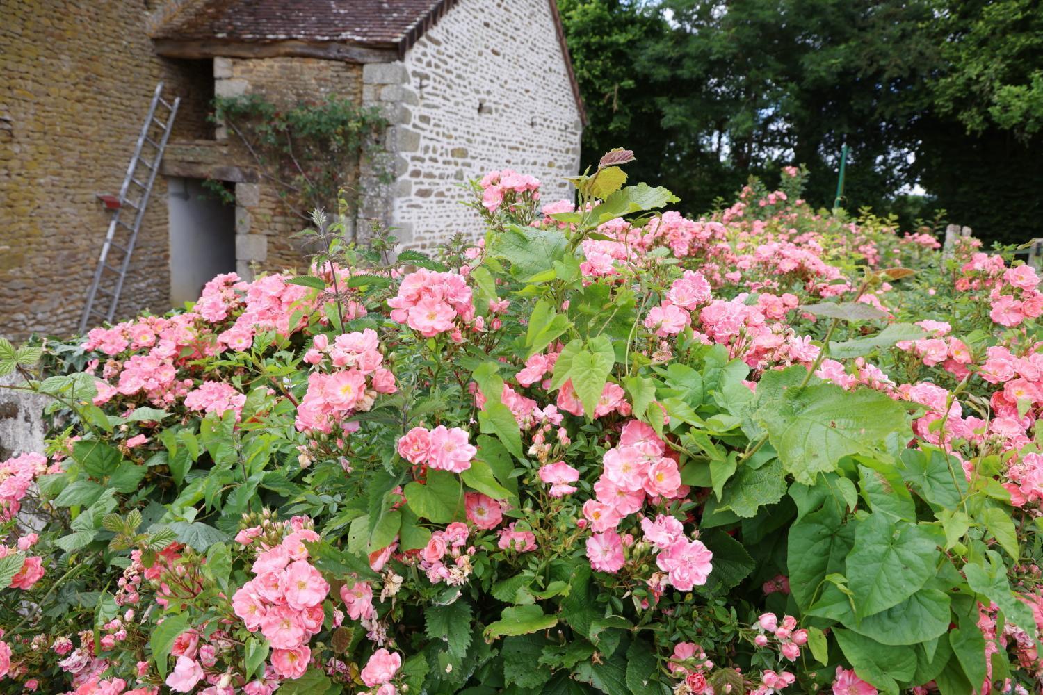 Chambre D'Hote Courtoux Saint-Denis-sur-Sarthon Buitenkant foto